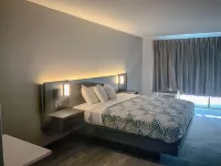 Studio 6 San Angelo, TX - Pet-friendly