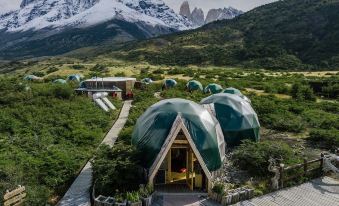 a group of green tents are set up in a grassy field with mountains in the background at Ecocamp Patagonia