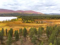 Villa Taiga Hotels in Fell Lapland