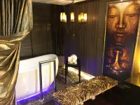 Radisson Blu Hotel, Ludhiana - Hot Springs