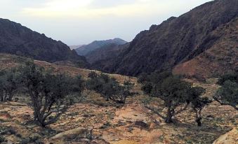 My Home Petra