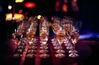 Ararat All Suites Hotel Klaipeda - bar
