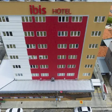 Ibis Teresina