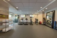 Home2 Suites by Hilton Atlanta South/McDonough - Kuntosalit