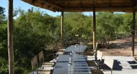 The Wild Olive Tree Camp