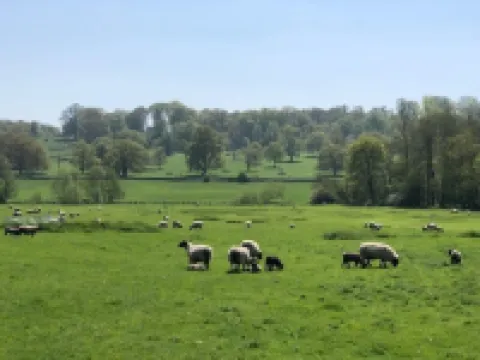 Clare Cottage Hotels in Sherborne