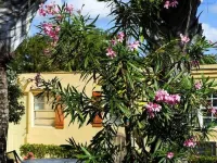 Atlantic Hideaway Hoteles en Delray Beach
