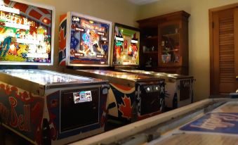 A House Full of Steel Balls and Games - Housity