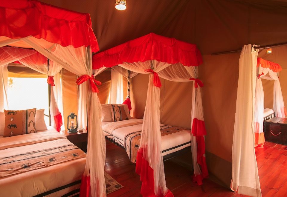 Kisura Serengeti Tented Camp, Get the true flavours of wilderness and  experience an awe-inspiring trip that you can truly cherish for a lifetime  at the Kisura Serengeti Camp