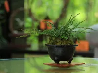 Yunoka Hotel a Murakami