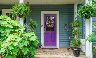 a purple door with a wreath on it is surrounded by potted plants and other greenery at Wild Wisteria