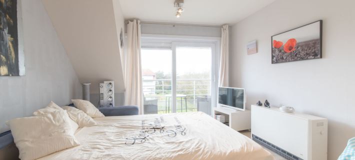 Bowie with Shared Pool Hotels in De Haan