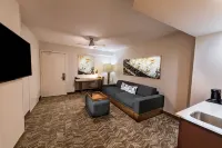 SpringHill Suites Houston Medical Center/NRG Park Hôtels à : Comte de Harris