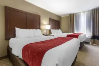 Comfort Suites Bridgeport - Clarksburg