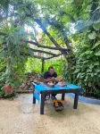 Hotel la Ceiba Hotels near Sumidero Canyon National Park