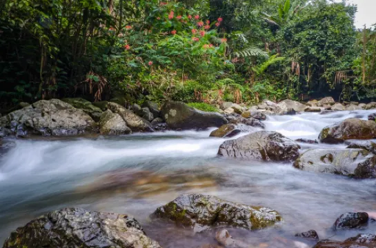 Hotel New Gondangdia Powered by Cocotel Dekat Hotel Photos