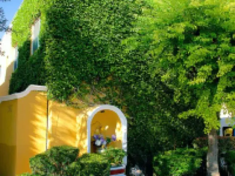 Best Western Saltillo サルティーヨのホテル