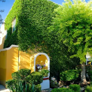 Best Western Saltillo