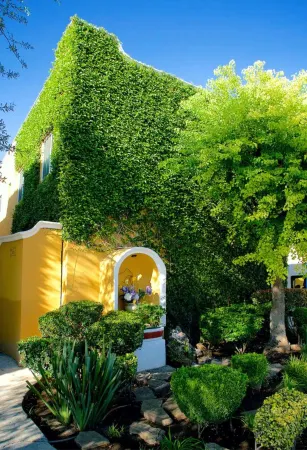 Best Western Saltillo