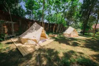 SON Home Garden Hue