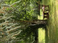 Au Plech Hotels in Gers