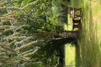 Au Plech Hotels in Gers