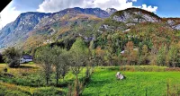 Soča Home with the View