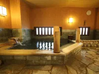 Anan Plaza Inn Hotels in Anan