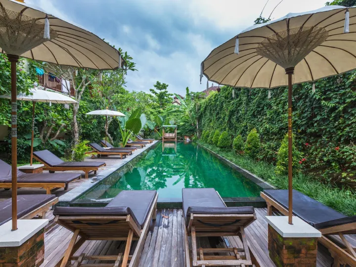 Sapodilla Ubud
