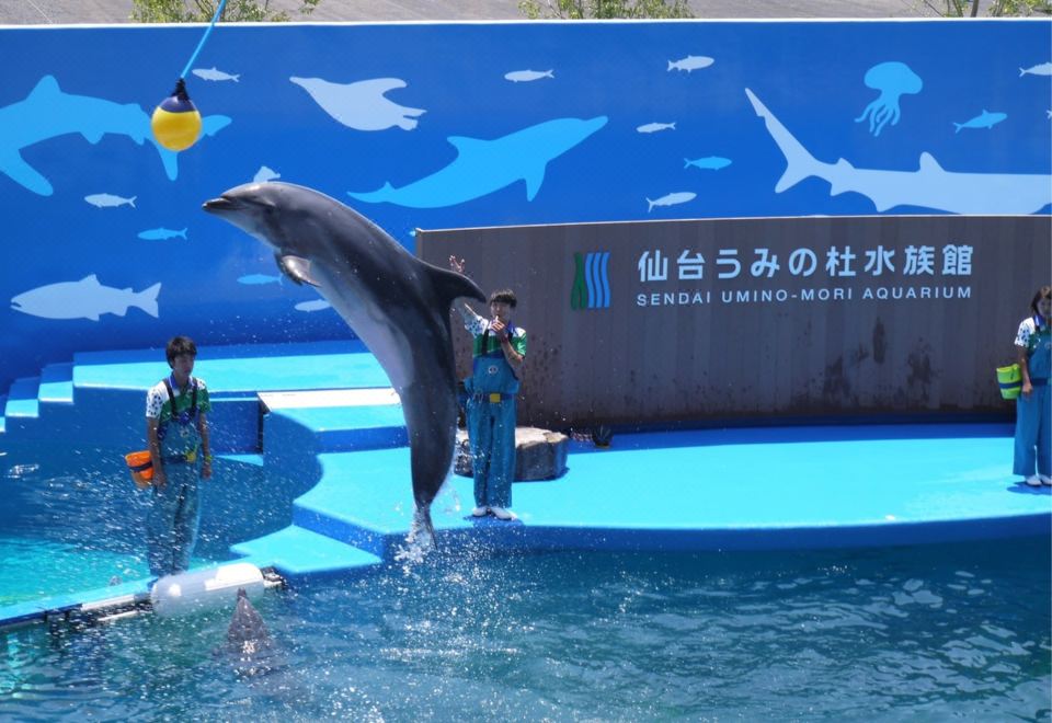 [료쿠스이테이 센다이의 온천 시설 전경]