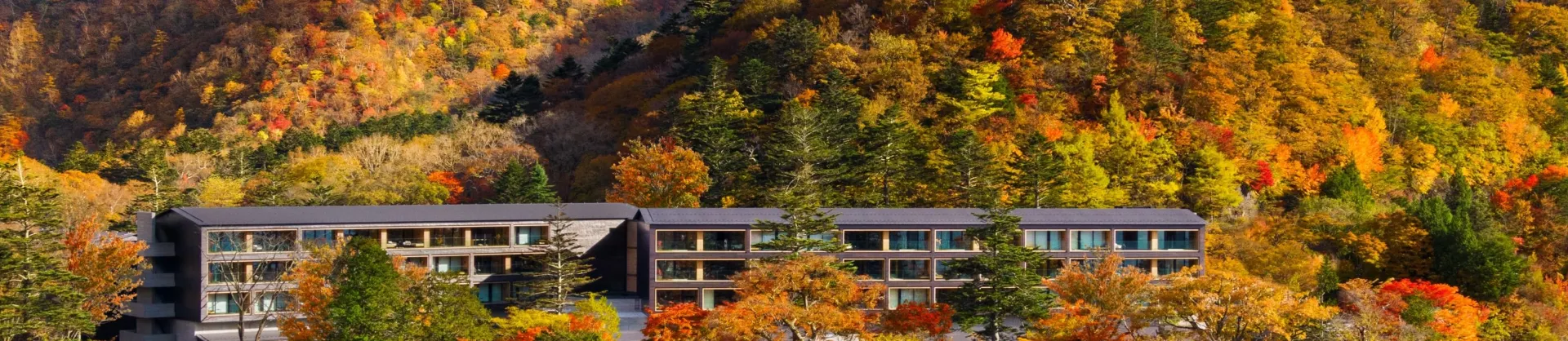 Scenic Hotels