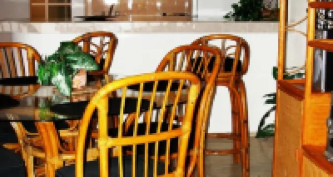 サルヴィア カンクン