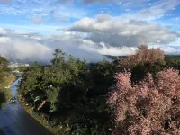 Orange Homestay, Shillong