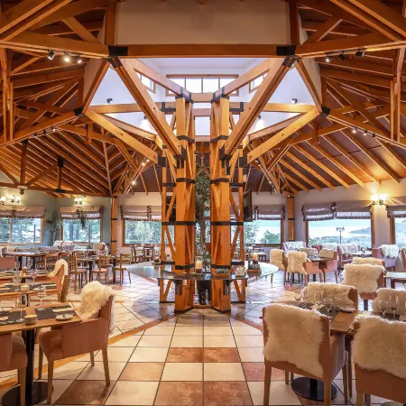 Hotel Los Ñires