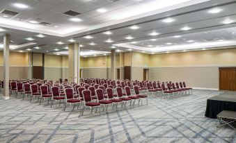 a large , empty conference room with rows of red chairs and a carpeted floor , under an overhead light at The Telford Hotel, Spa & Golf Resort