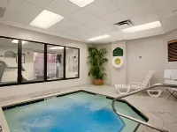 Comfort Inn & Suites Arlington Heights - Schaumburg