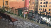 House Camogli