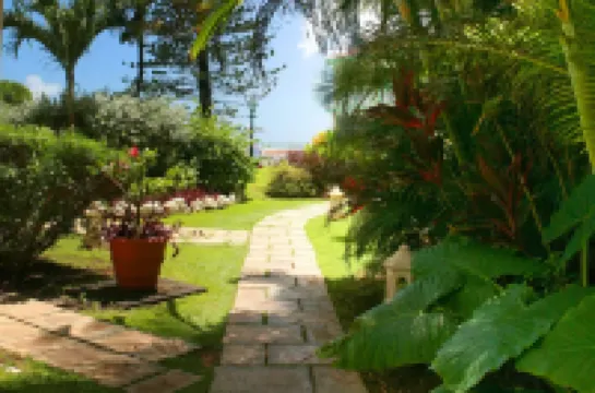 ブルー オーキッズ ビーチ ホテル のホテル