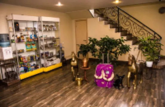 Sitara Hotel Hotels in 