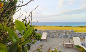 Luxurious Villa with Breathtaking Seaview