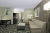 SpringHill Suites Oklahoma City Quail Springs - Kitchens