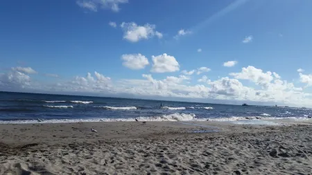 Apartment (W5) between forest and waves