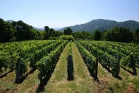 House with pool. Idyllic setting in hills near Lucca and coast WiFi Aircon Pescaglia otelleri