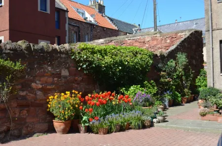 The old harbor master's apartment Отели в г. Данбар