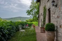 Villa Rosaspina from 1700's. Private pool, Air-conditioning, Jacuzzi, DSL/Wi-Fi