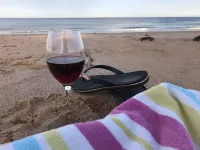 Pearly Shells Beach Cottage- 200m Walk to Beach & 500m to Shops  - Pet Friendly Hotels in Culburra Beach