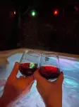 🍷CLOUD WINE COTTAGE FLX🍷secluded w/ HOT TUB in the heart of wine country!
