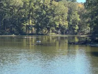 Pine Grove Cottage - Romantic Getaway on Private Lake