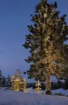 Grumpy Grizzly Pet friendly w/ hot tub