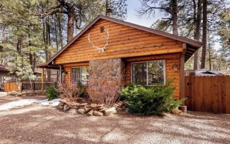 Cozy Cabin Retreat in Munds Park